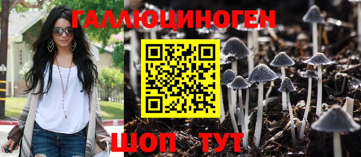 Галлюциногенные грибы Psilocybine cubensis Йошкар-Ола