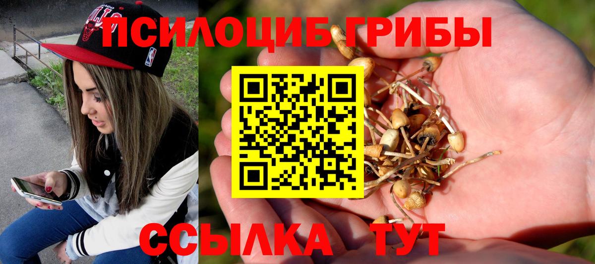 Йошкар-Ола  где купить наркотик  Вход с VPN  Псилоцибиновые грибы GOLDEN TEACHER 